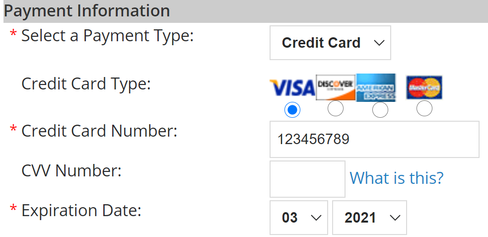 Example Payment Information